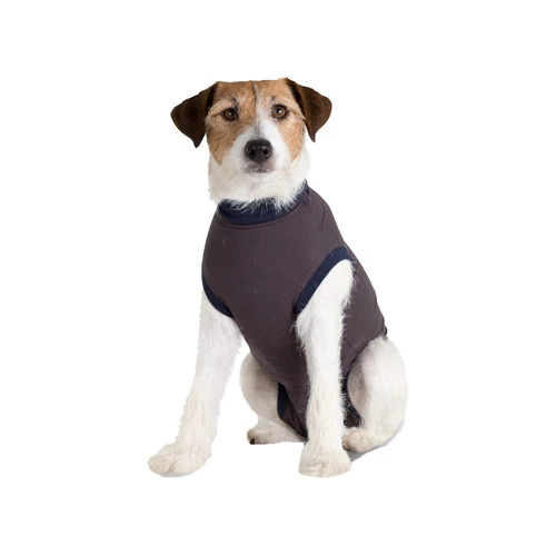 Jacketz Medical Body Suit Für Hunde 2 Jacketz Medical Body Suit Für Hunde