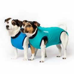 Jacketz Medical Body Suit Für Hunde 8 Jacketz Medical Body Suit Für Hunde -Haustier Discounter jacketz medical body suit hond 209519 0500 none