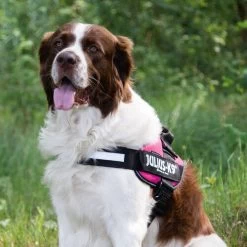 Julius K9 IDC Powergeschirr 18 Julius K9 IDC Powergeschirr -Haustier Discounter julius k9 idc powertuig 192695 0500 none