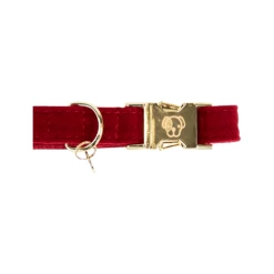 Kentucky Dogwear Corduroy Hundehalsband -Haustier Discounter kentucky dogwear corduroy hondenhalsband 219199 0500 none