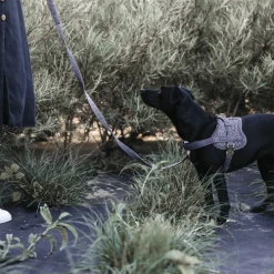 Kentucky Dogwear Hundegeschirr Body Safe Wool -Haustier Discounter kentucky dogwear hondenharnas body safe wool 219214 0500 none