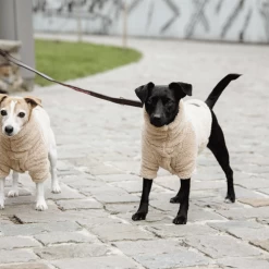 Kentucky Dogwear Hundejacke Teddy Fleece 9 Kentucky Dogwear Hundejacke Teddy Fleece -Haustier Discounter kentucky dogwear hondenjas teddy fleece 219186 0500 none