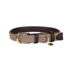 Kentucky Dogwear Nylon Hundehalsband 12 Kentucky Dogwear Nylon Hundehalsband -Haustier Discounter kentucky dogwear nylon hondenhalsband 219176 0500 none