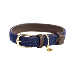 Kentucky Dogwear Nylon Hundehalsband 10 Kentucky Dogwear Nylon Hundehalsband -Haustier Discounter kentucky dogwear nylon hondenhalsband 219180 0500 none