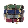 Kentucky Dogwear Nylon Hundehalsband -Haustier Discounter kentucky dogwear nylon hondenhalsband 219181 0500 none