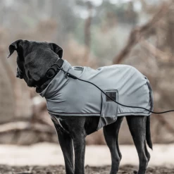 Kentucky Dogwear Soft Rubber Hundehalsband 11 Kentucky Dogwear Soft Rubber Hundehalsband -Haustier Discounter kentucky dogwear soft rubber hondenhalsband 219265 0500 none