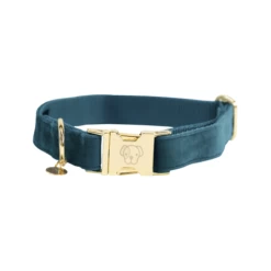Kentucky Dogwear Velvet Hundehalsband 23 Kentucky Dogwear Velvet Hundehalsband -Haustier Discounter kentucky dogwear velvet hondenhalsband 219231 0500 none