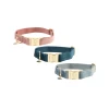 Kentucky Dogwear Velvet Hundehalsband 1 Kentucky Dogwear Velvet Hundehalsband -Haustier Discounter kentucky dogwear velvet hondenhalsband 219233 0500 none