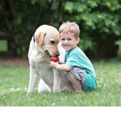 KONG Classic -Haustier Discounter kong classic 98642 0500 none