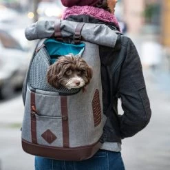 Kurgo K9 Rucksack -Haustier Discounter kurgo k9 rugzak 208103 0500 none