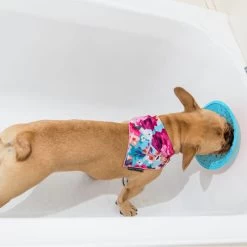 LickiMat Splash -Haustier Discounter lickimat splash 164212 0500 none