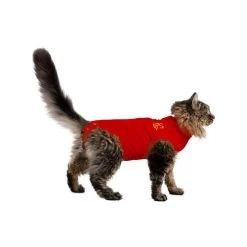 Medical Pet Shirt Katze -Haustier Discounter medical pet shirt kat 167401 0500 none