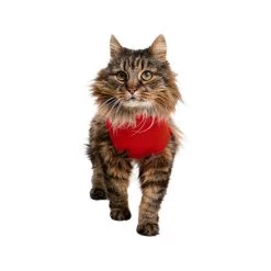 Medical Pet Shirt Katze -Haustier Discounter medical pet shirt kat 167404 0500 none