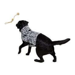 Medical Pet Top Shirt Zebra -Haustier Discounter medical pet top shirt zebraprint 150701 0500 none