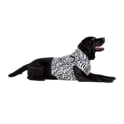 Medical Pet Top Shirt Zebra -Haustier Discounter medical pet top shirt zebraprint 150704 0500 none
