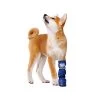 Medical Pet Shirt Boot -Haustier Discounter medical pets boot 167479 0500 none