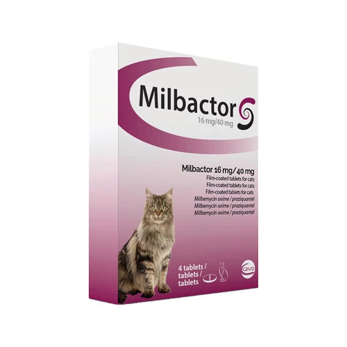 Milbactor Katze 5 Milbactor Katze – Bild 3