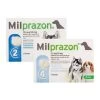 Milprazon Für Hunde -Haustier Discounter milprazon hond 134047 0500 none
