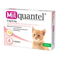 Milquantel Katze -Haustier Discounter milquantel kat 112619 0500 none