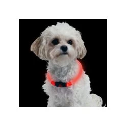 Nite Ize NiteHowl LED Safety Necklace -Haustier Discounter nite ize nitehowl led safety necklace 89505 0500 none