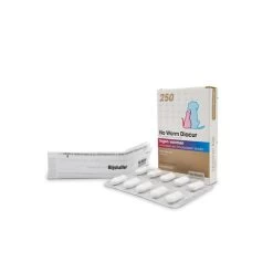 No Worm Diacur 11 No Worm Diacur -Haustier Discounter no worm diacur 151285 0500 none