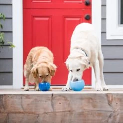 Planet Dog Orbee-Tuff Lil’ Snoop Toy -Haustier Discounter orbee tuff lil snoop toy 203408 0500 none