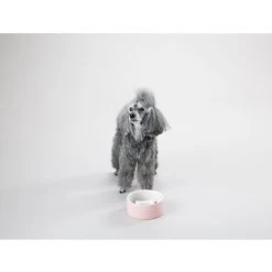 PAIKKA Slow Feed Bowl 13 PAIKKA Slow Feed Bowl -Haustier Discounter paikka slow feed bowl 217878 0500 none