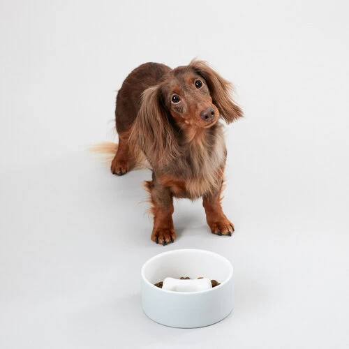 PAIKKA Slow Feed Bowl 9 PAIKKA Slow Feed Bowl – Bild 7