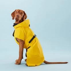 PAIKKA Visibility Raincoat Lite Yellow -Haustier Discounter paikka visibility raincoat lite yellow 217726 0500 none