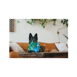 Haustier Discounter -Haustier Discounter play fetching flock peacock 182614 0500 none