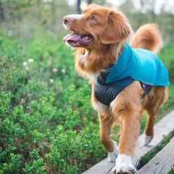 Pomppa Jumppa -Haustier Discounter pomppa jumppa 190573 0500 none