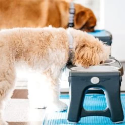 Popware Adjustable Height Pet Feeder -Haustier Discounter popware adjustable height pet feeder 164587 0500 none