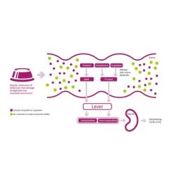 Porus One 7 Porus One -Haustier Discounter porus one 134455 0500 none