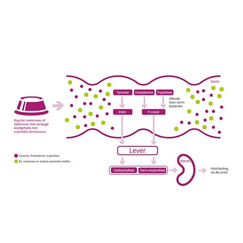 Porus One 5 Porus One – Bild 3