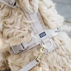 Kentucky Dog Harness Active Velvet -Haustier Discounter prod 15744 218987 0500 none