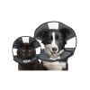 ZenPet Zen Collar -Haustier Discounter prod 5332 89019 0500 none