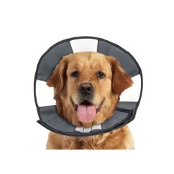 ZenPet Zen Collar -Haustier Discounter prod 5332 89025 0500 none