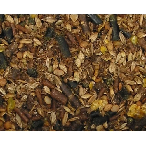 Bonpard Mare & Foal 4 Bonpard Mare & Foal – Bild 2