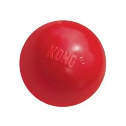 KONG Ball -Haustier Discounter product kong ball none 4 1466058812 69915