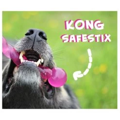 KONG Safestix -Haustier Discounter product kong safestix none 4 1458633926 66969