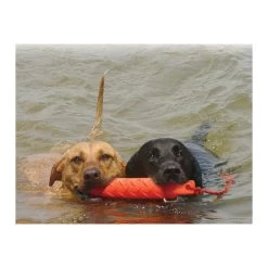 KONG Training Dummy -Haustier Discounter product kong training dummy none 4 1469627104 71971