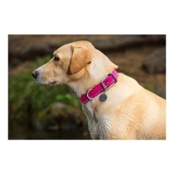 Ruffwear Headwater Collar -Haustier Discounter product ruffwear headwater collar none 4 1487775433 83755