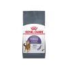Royal Canin Appetite Control Care - Katzenfutter -Haustier Discounter royal canin appetite control care kattenvoer 221919 0500 none