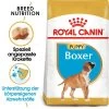 Royal Canin Boxer Puppy - Hundefutter