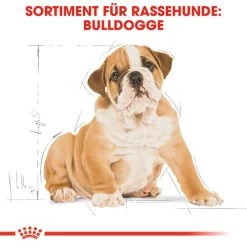 Royal Canin Bulldog Puppy - Hundefutter -Haustier Discounter royal canin bulldog puppy hondenvoer 137812 0500 none