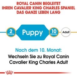 Royal Canin Cavalier King Charles Puppy - Hundefutter -Haustier Discounter royal canin cavalier king charles puppy hondenvoer 137905 0500 none