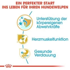 Royal Canin Cavalier King Charles Puppy - Hundefutter -Haustier Discounter royal canin cavalier king charles puppy hondenvoer 137923 0500 none