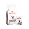 Royal Canin Gastrointestinal Moderate Calorie Katze 1 Royal Canin Gastrointestinal Moderate Calorie Katze -Haustier Discounter royal canin gastrointestinal moderate calorie kat 188665 0500 none