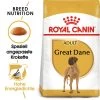 Royal Canin Great Dane Adult - Hundefutter