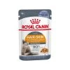 Royal Canin Hair & Skin In Jelly - Katzenfutter -Haustier Discounter royal canin intense beauty in jelly kattenvoer 222156 0500 none